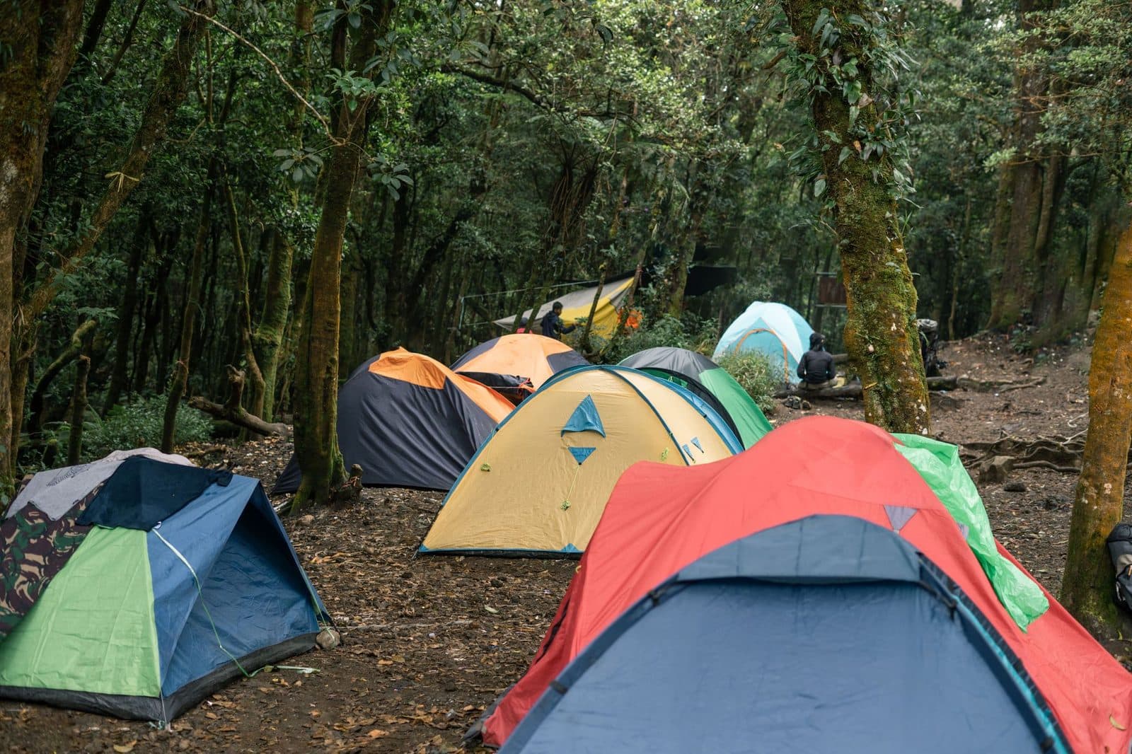 Tentes montées en pleine nature