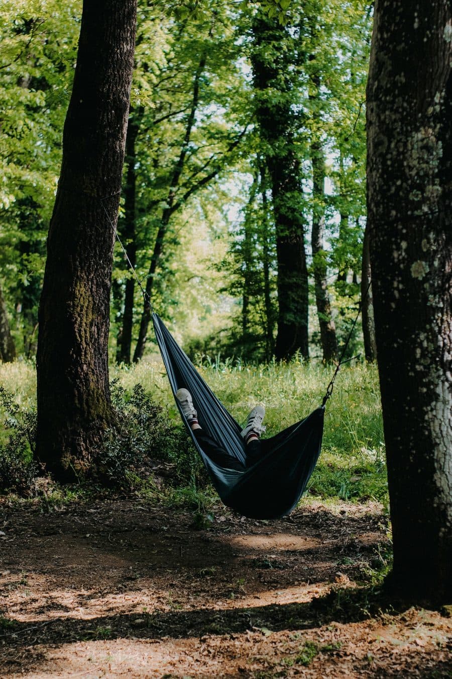Un hamac tendu entre deux arbres
