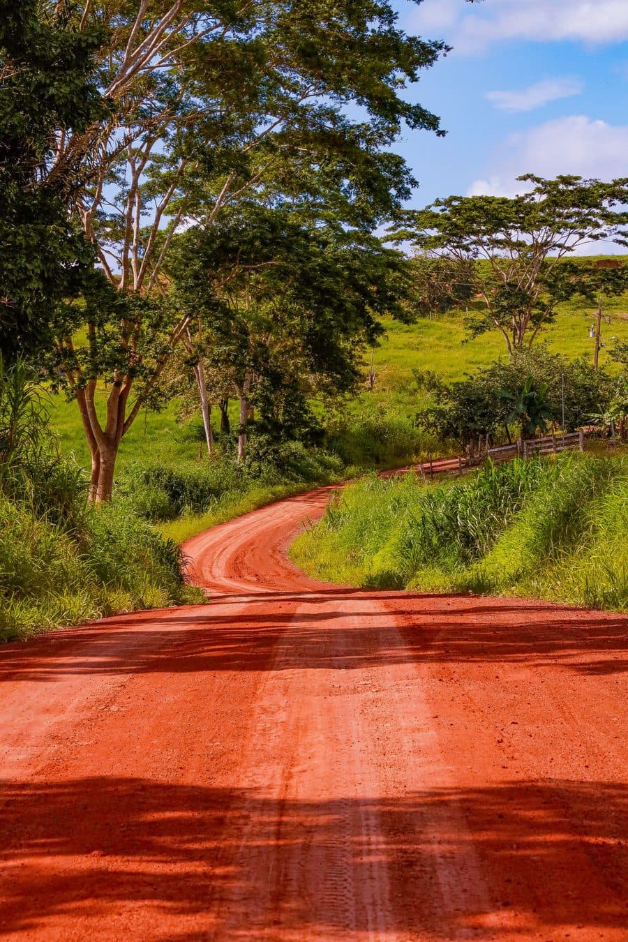 Une route de latérite rouge qui serpente