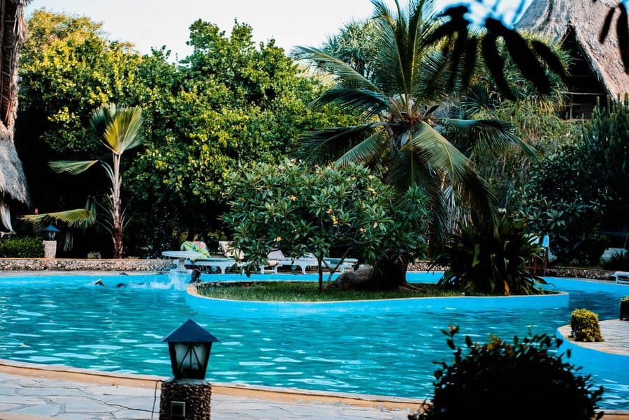 Une piscine bordée de palmiers