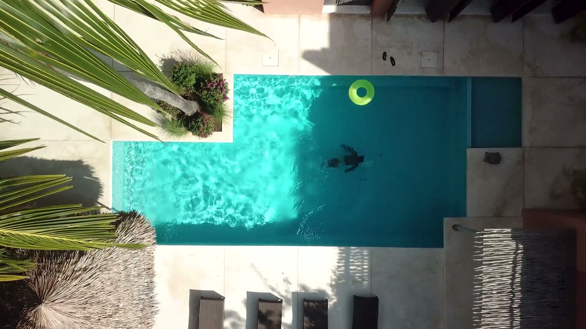 Une piscine turquoise vue du dessus, entre les palmes